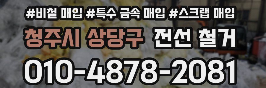 청주시 상당구 전선 철거