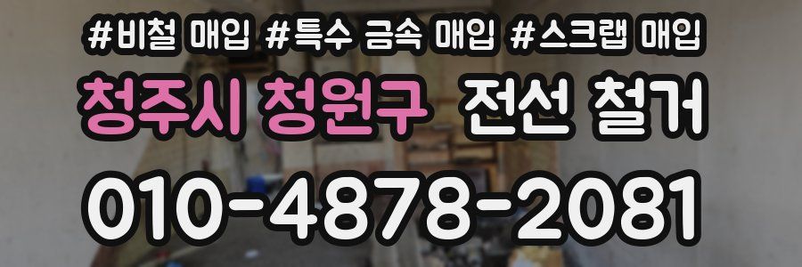 청주시 청원구 전선 철거