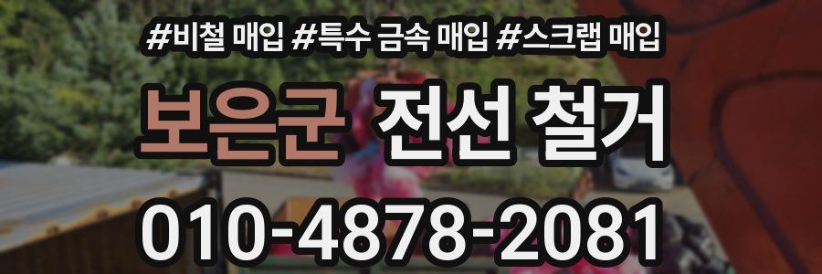 보은군 전선 철거