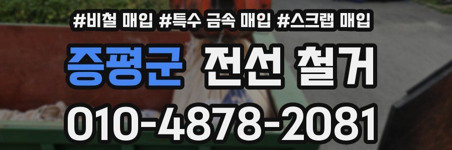 증평군 전선 철거