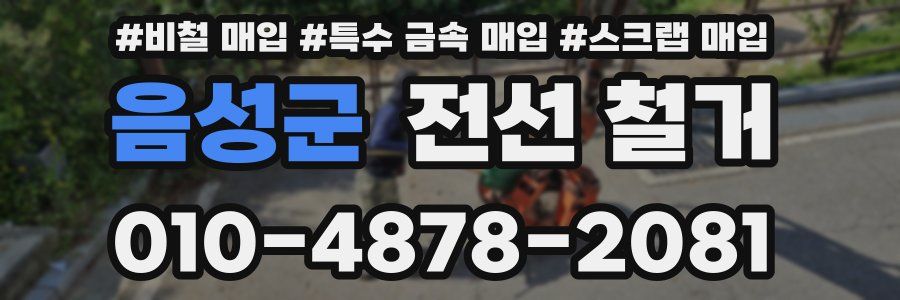 음성군 전선 철거