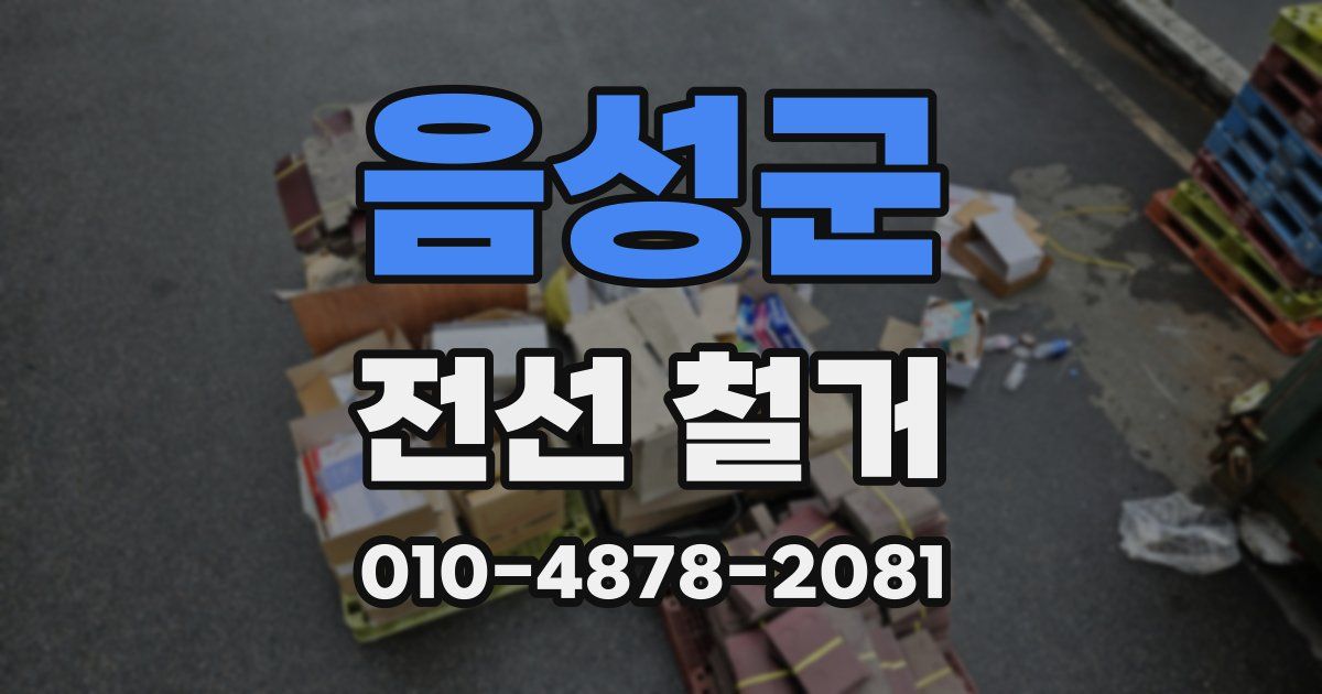 음성군 전선 철거