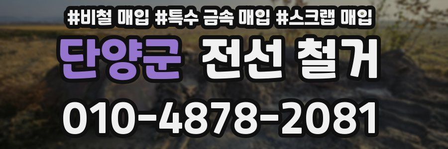 단양군 전선 철거