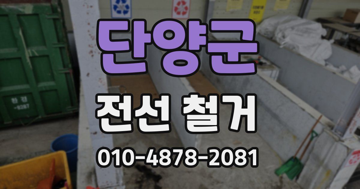 단양군 전선 철거