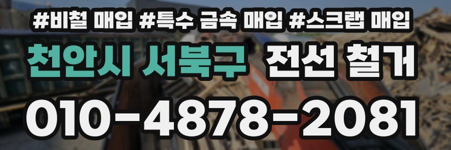 천안시 서북구 전선 철거