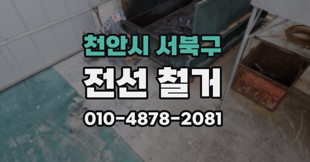 천안시 서북구 전선 철거