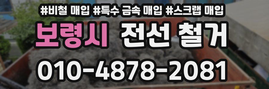 보령시 전선 철거