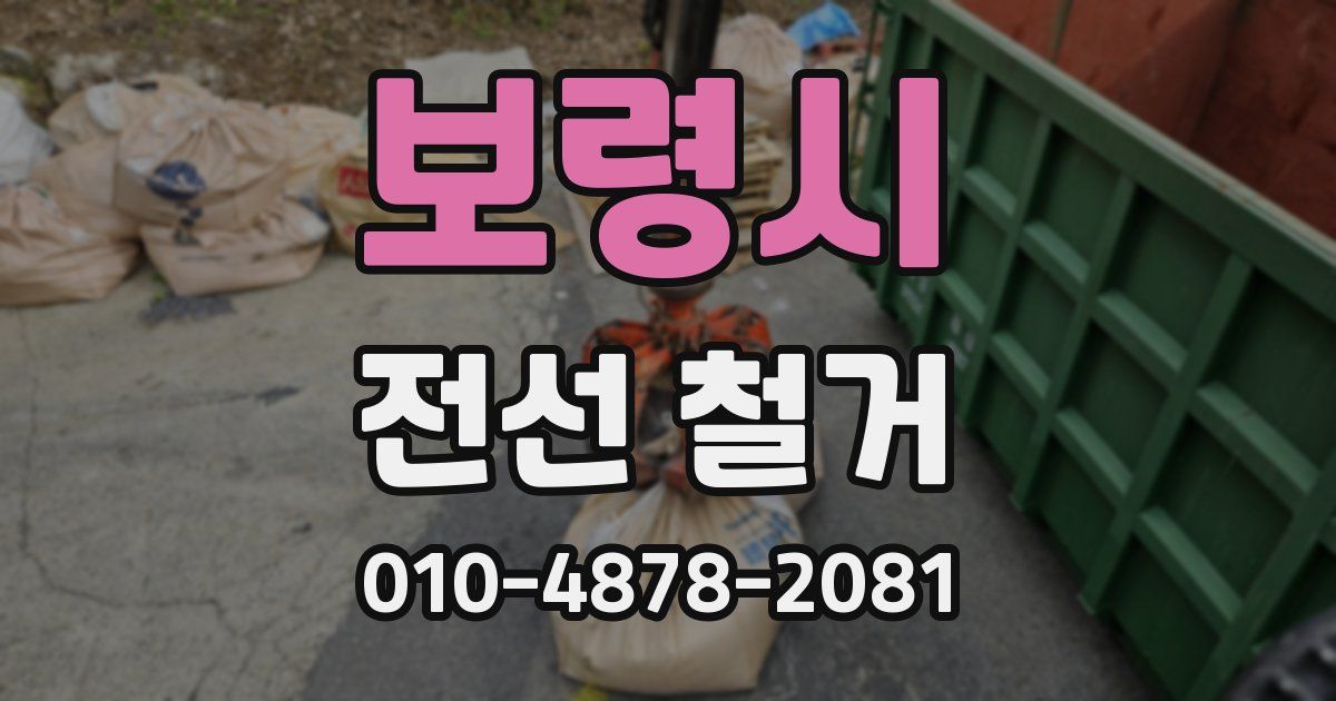 보령시 전선 철거