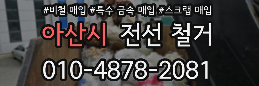 아산시 전선 철거