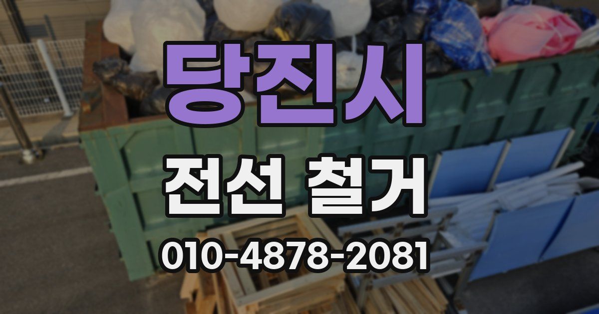 당진시 전선 철거