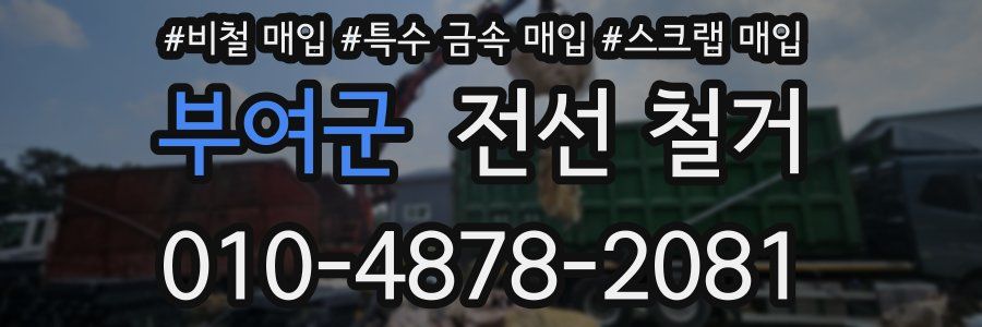 부여군 전선 철거