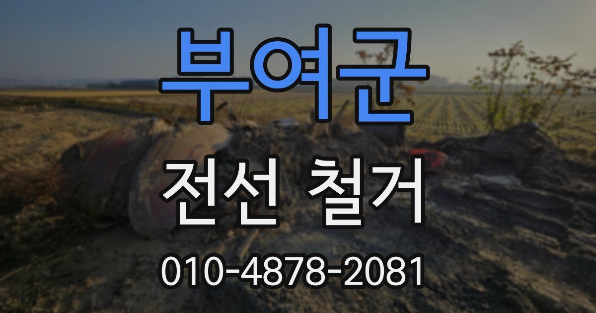 부여군 전선 철거