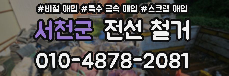 서천군 전선 철거