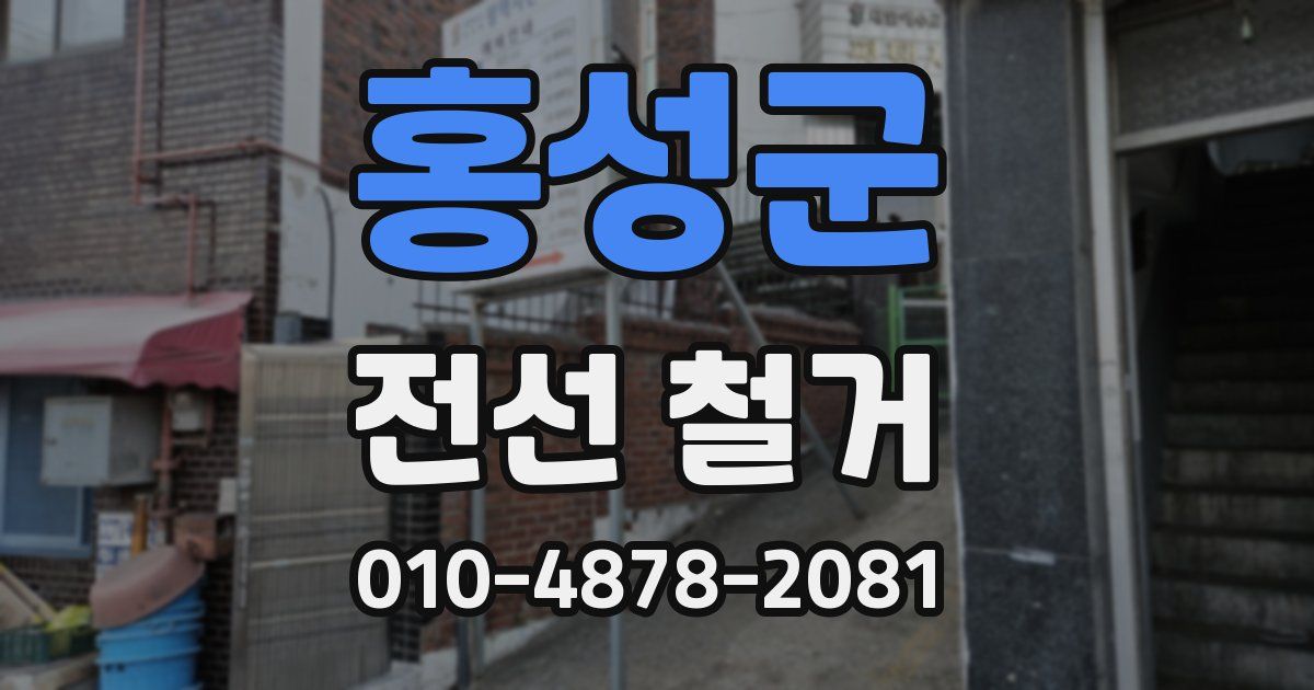 홍성군 전선 철거