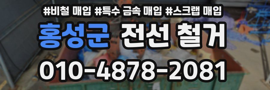 홍성군 전선 철거