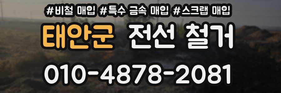 태안군 전선 철거