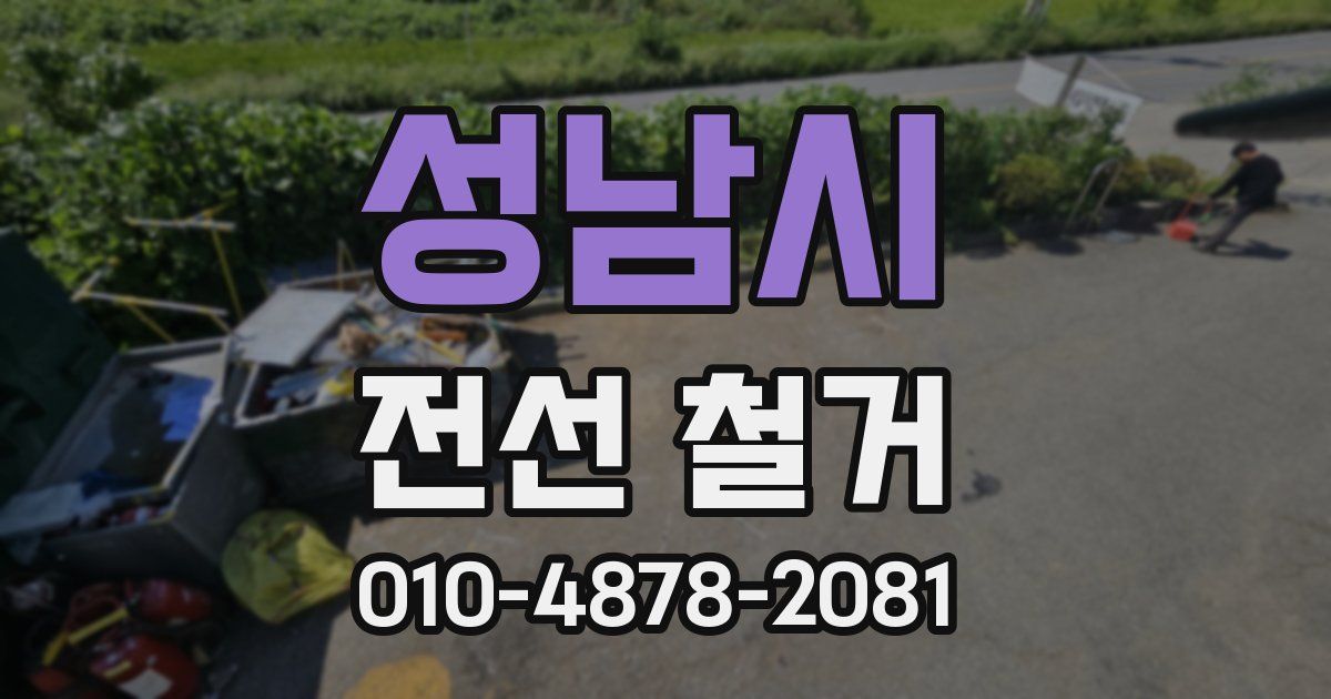 성남시 전선 철거