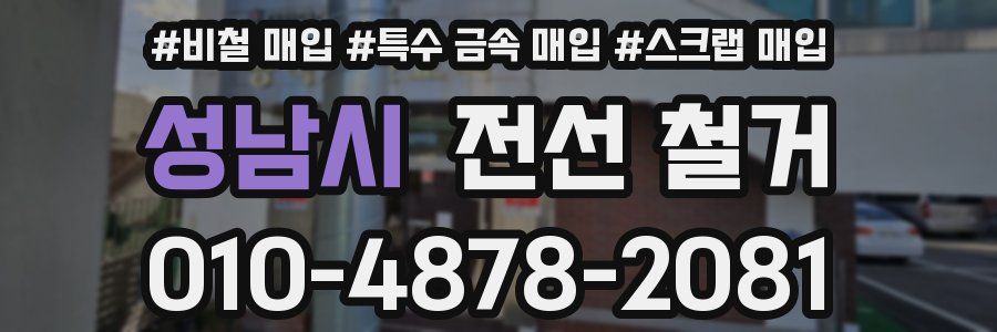 성남시 전선 철거