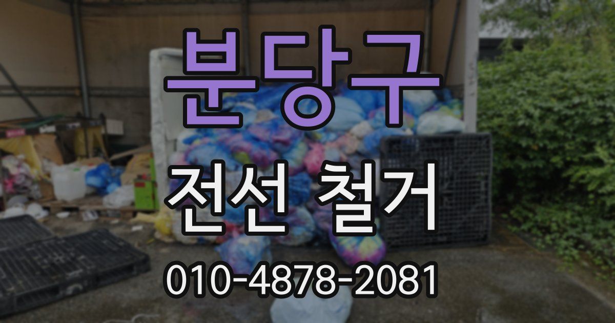 분당구 전선 철거