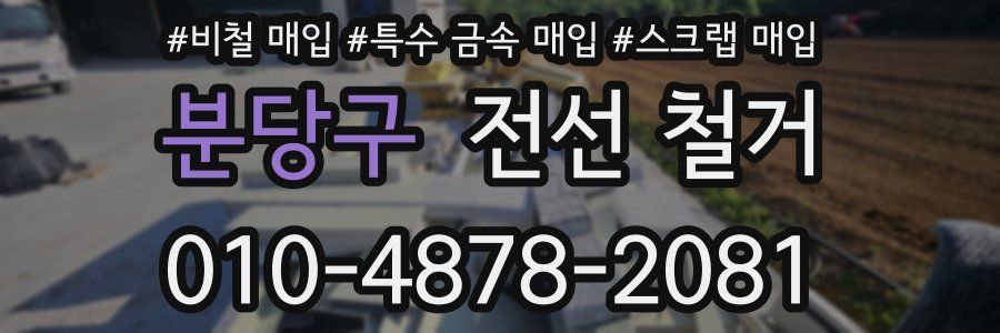 분당구 전선 철거