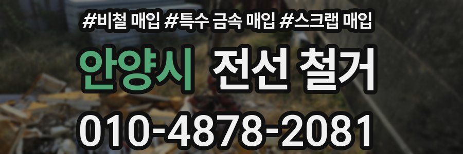 안양시 전선 철거