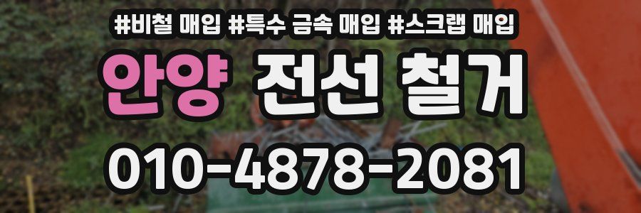 안양 전선 철거