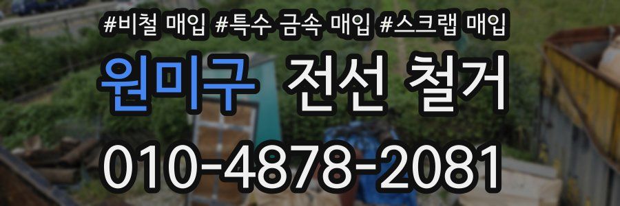 원미구 전선 철거
