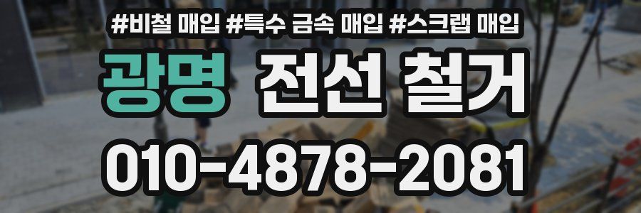 광명 전선 철거