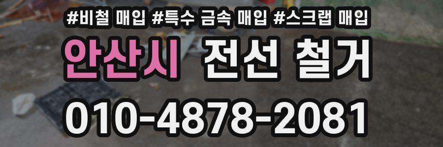 안산시 전선 철거