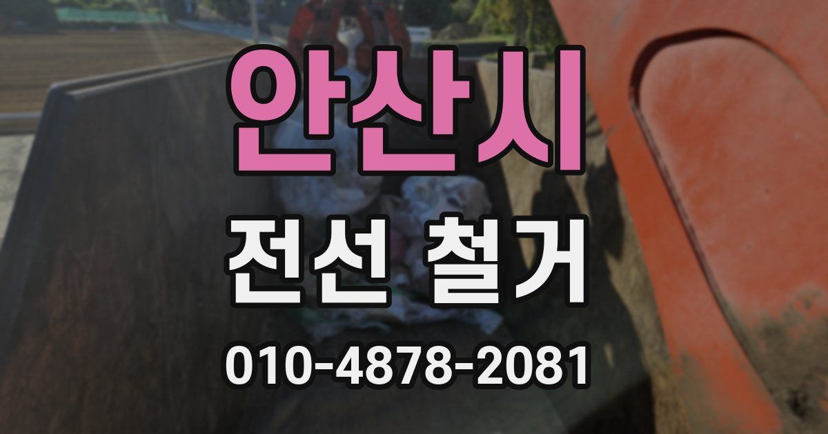 안산시 전선 철거