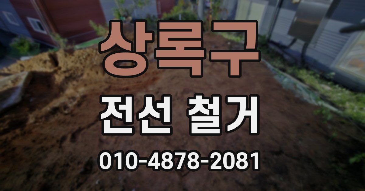 상록구 전선 철거