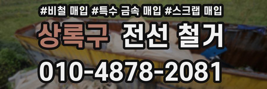 상록구 전선 철거