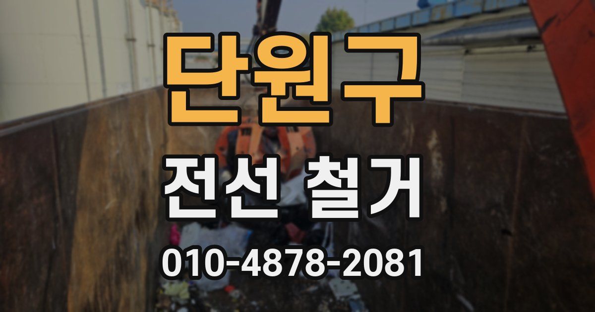 단원구 전선 철거