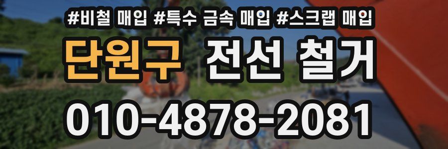 단원구 전선 철거