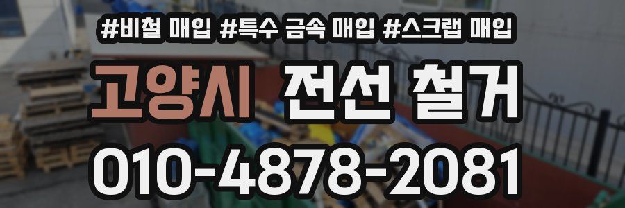 고양시 전선 철거