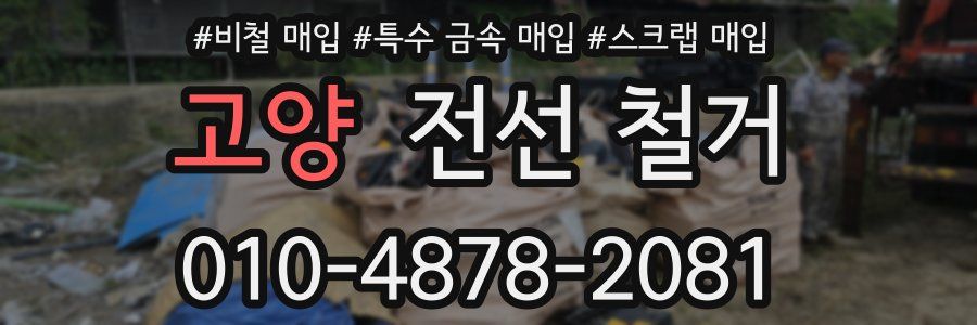 고양 전선 철거