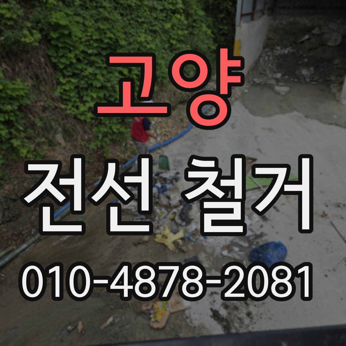 고양 전선 철거