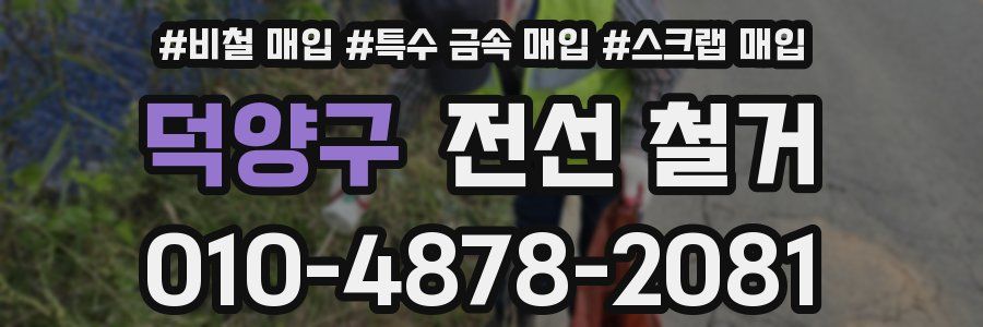 덕양구 전선 철거