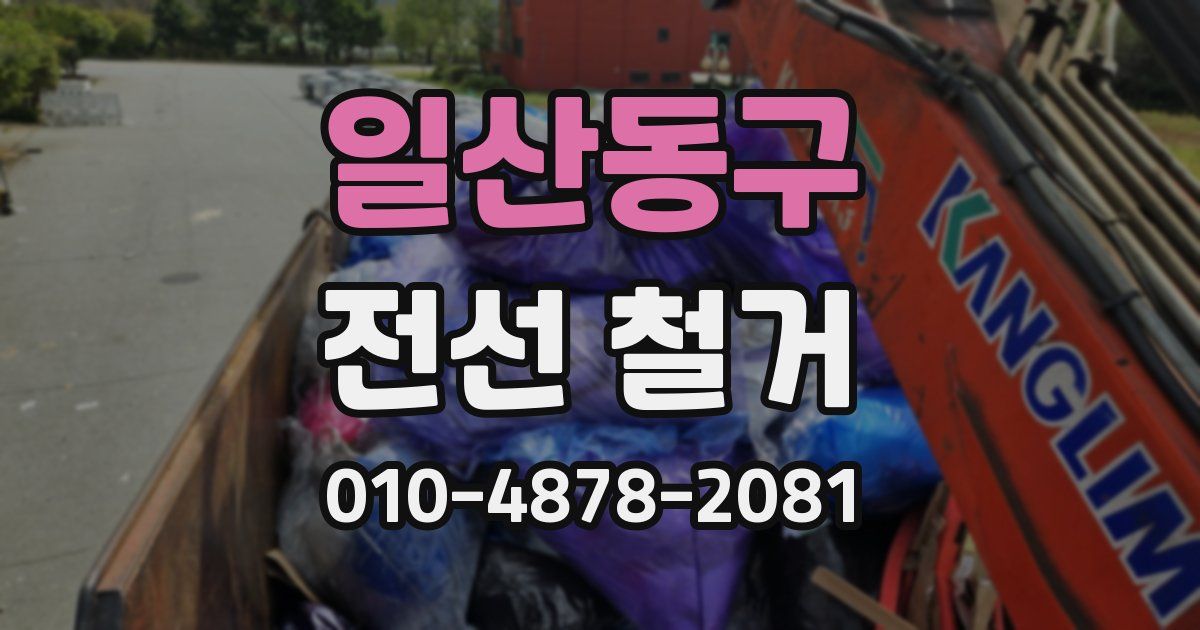 일산동구 전선 철거