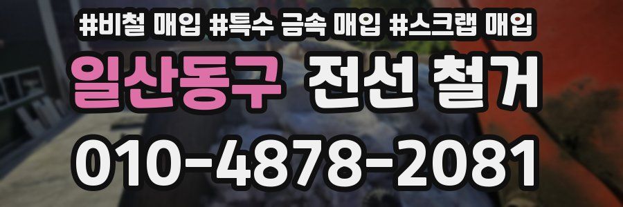 일산동구 전선 철거