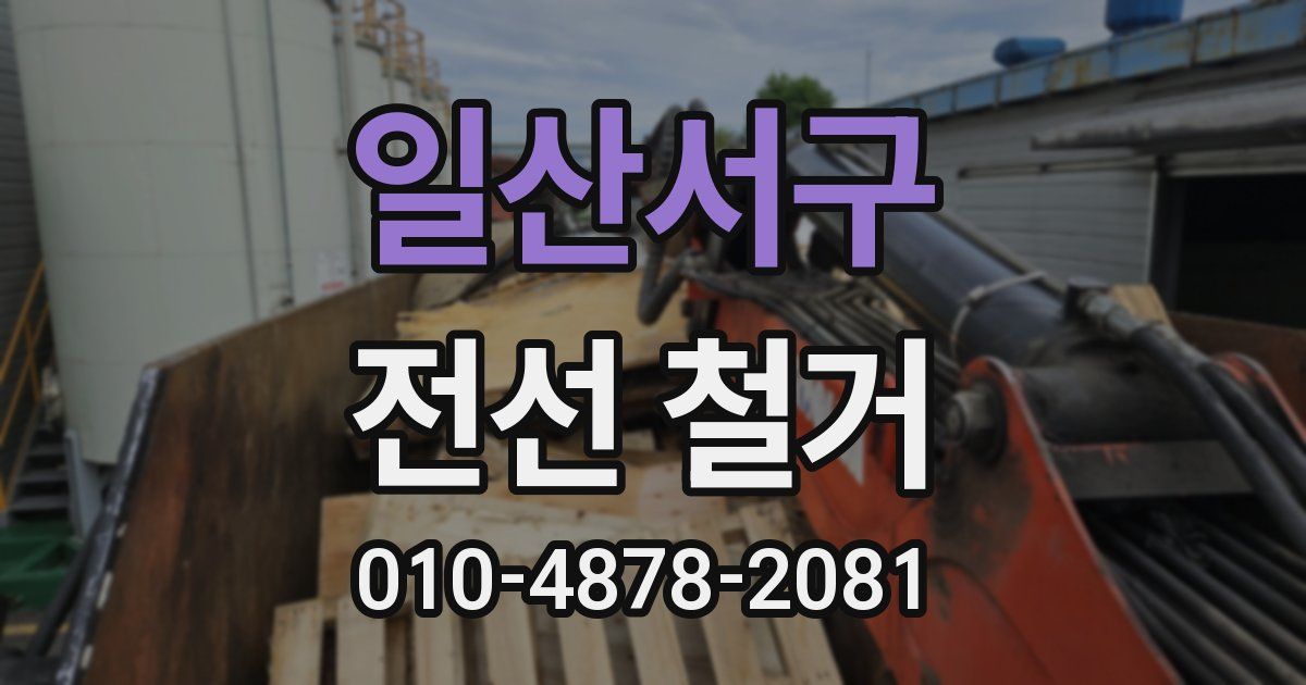일산서구 전선 철거