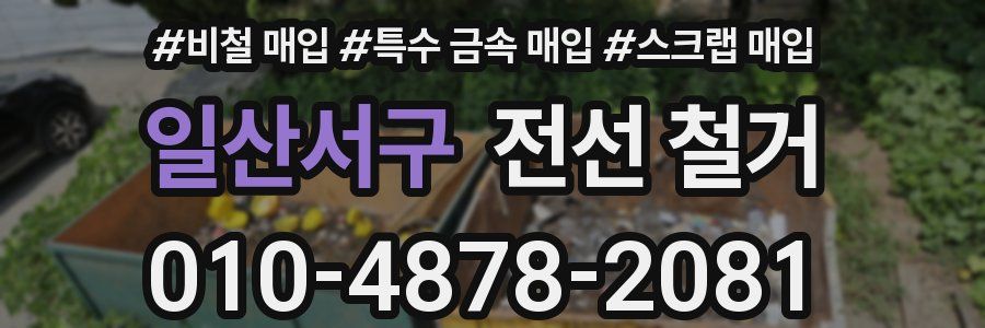 일산서구 전선 철거