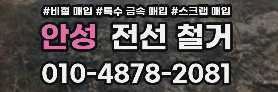 안성 전선 철거