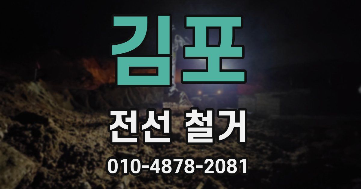김포 전선 철거