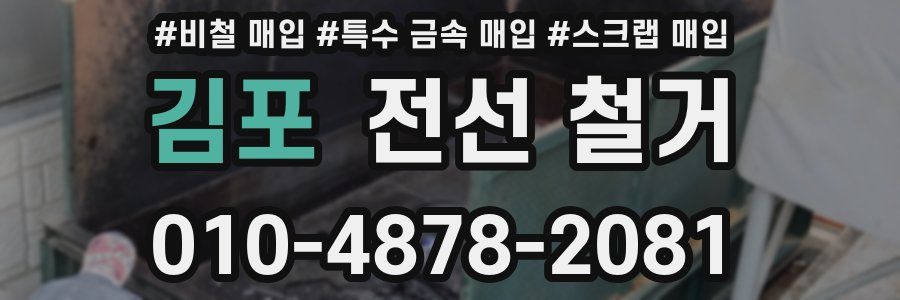 김포 전선 철거