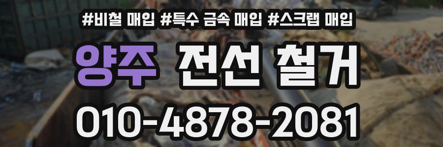 양주 전선 철거
