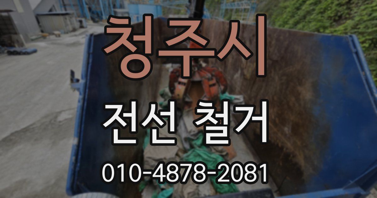 청주시 전선 철거