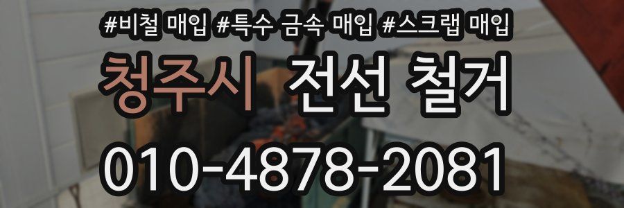 청주시 전선 철거