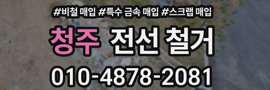 청주 전선 철거
