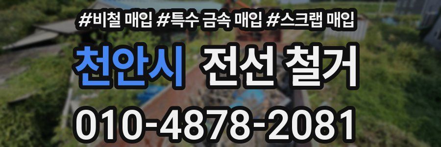 천안시 전선 철거